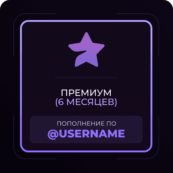 6 Месяцев